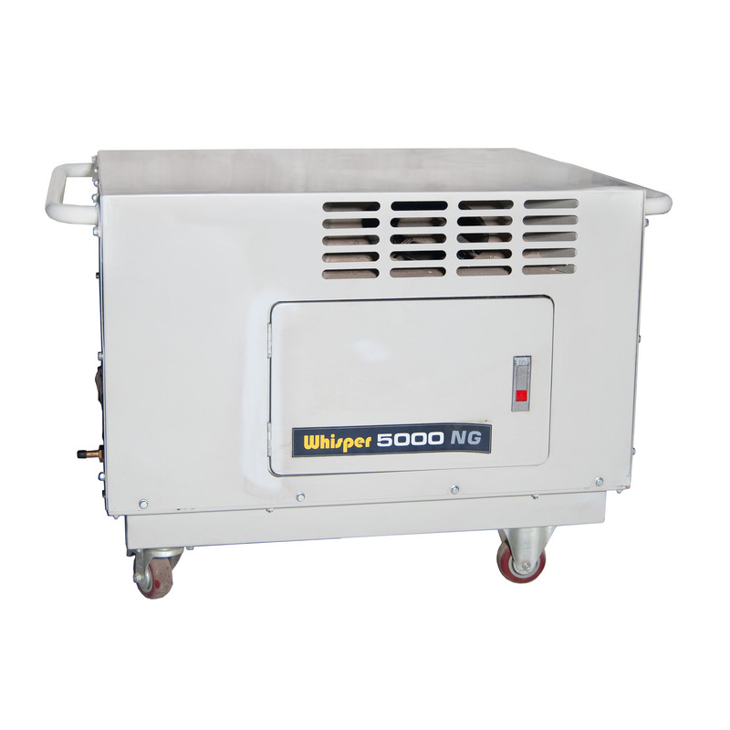 موتور برق فیرمن مدل 5000 NG موتور برق فیرمن مدل 5000 NG