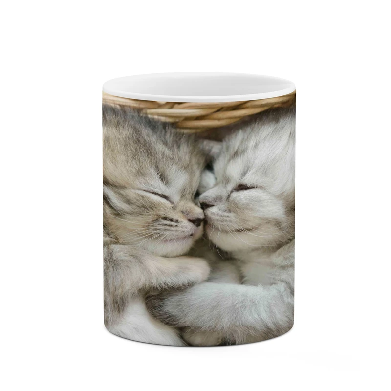 ماگ کاکتی مدل گربه کد mgh17177