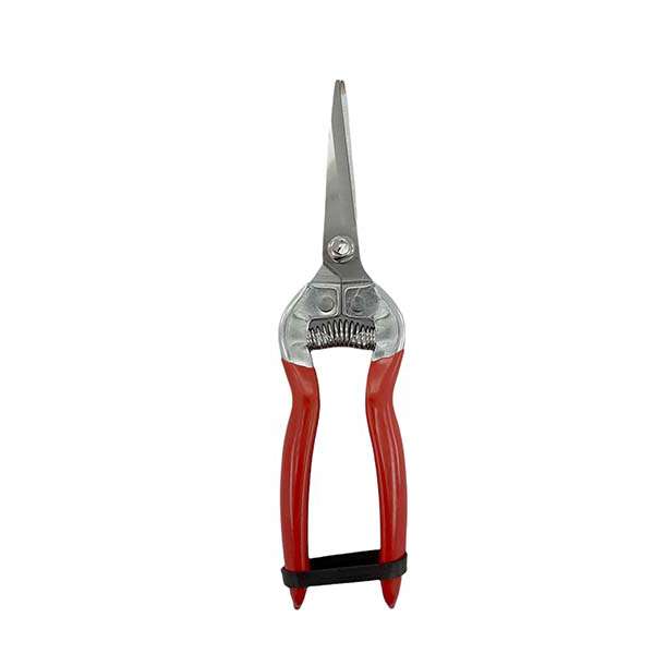 قیچی میوه چینی مدل JING-200