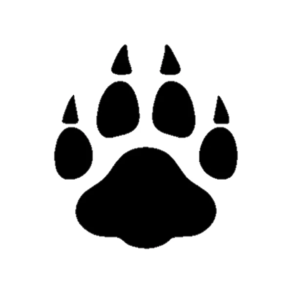 برچسب بدنه خودرو طرح پنجه خرس مدل S311