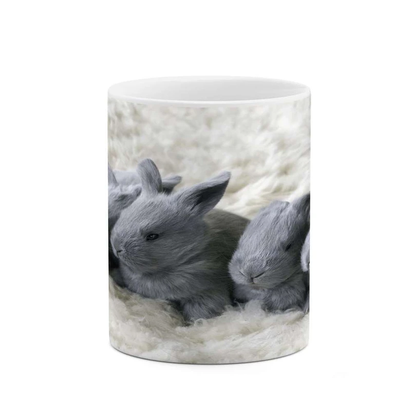 ماگ کاکتی مدل خرگوش کد mgh16097