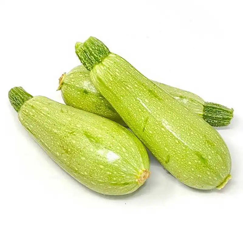 بذر کدو سبز خورشتی فصل سبز کد FSSEED-30