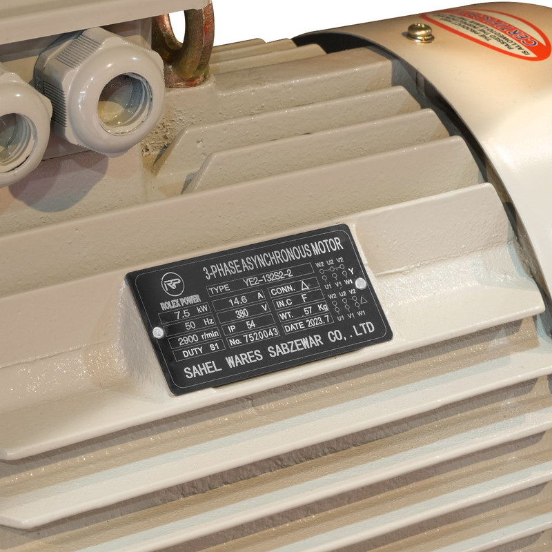 الکتروموتور دینام رولکس پاور مدل 10 اسب کد 3000RPM/3FAZ