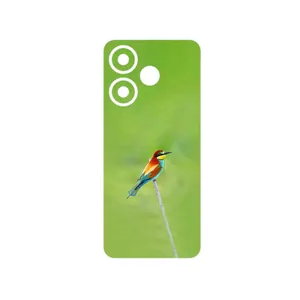 MAHOOT European bee-eater Cover Sticker for Xiaomi Redmi 13