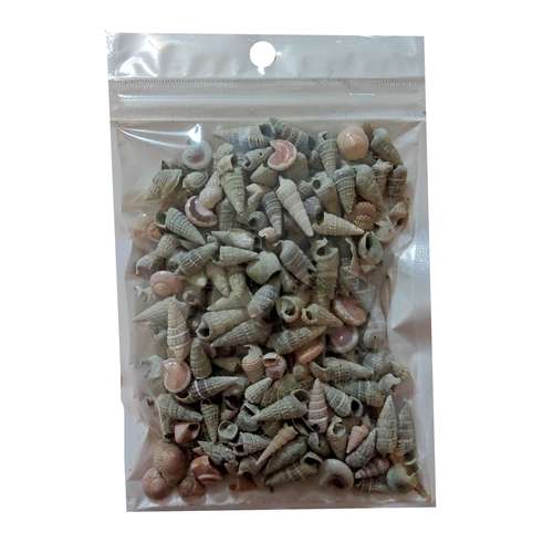 صدف تزیینی مدل SH2 وزن 90 گرم