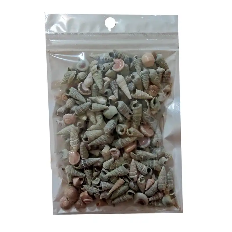 صدف تزیینی مدل SH2 وزن 90 گرم