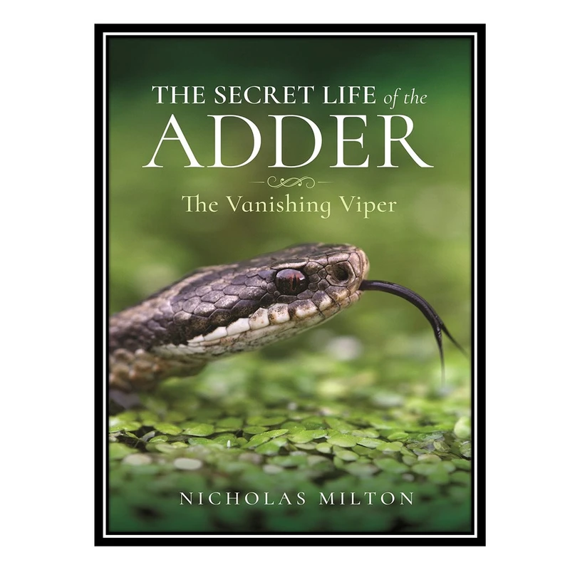 کتاب The Secret Life of the Adder: The Vanishing Viper اثر Nicholas Milton انتشارات مؤلفین طلایی