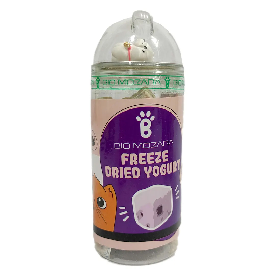 تشویقی گربه بیوموزارا مدل دنتال طعم ماست فریزشده وزن 300 گرم