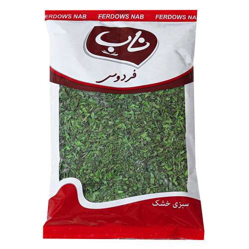 سبزی نعنا خشک فردوس ناب - 100 گرم