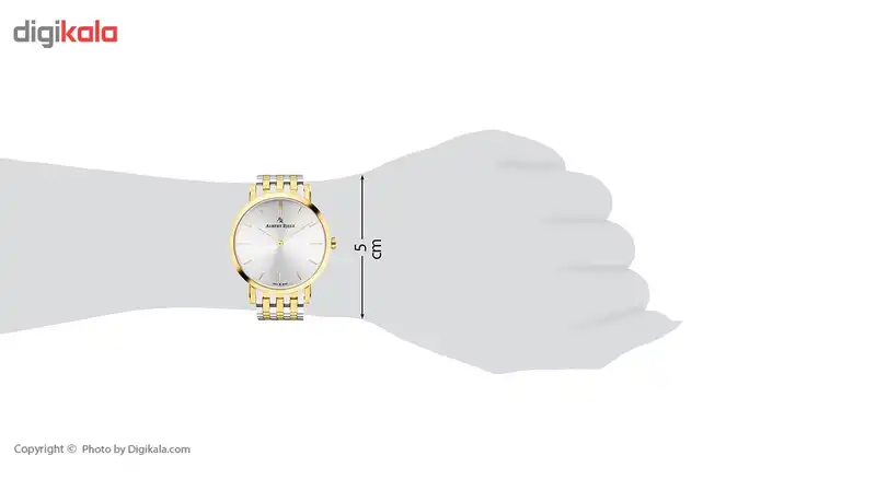 ساعت مچی عقربه ای آلبرت ریله مدل 018UQ19-SY33I-SM