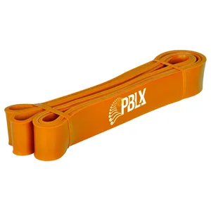 کش مقاومتی پبلکس مدل Pull Up Assistance Band  عرض 45 میلی متر
