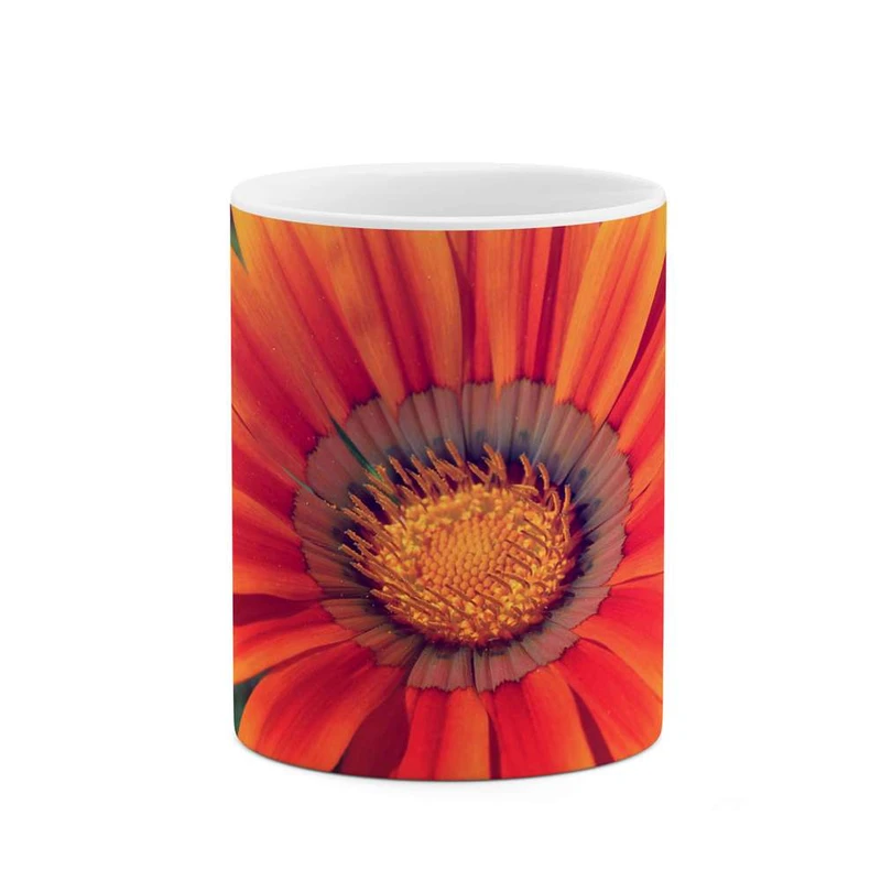 ماگ کاکتی مدل گل کد mgh12005