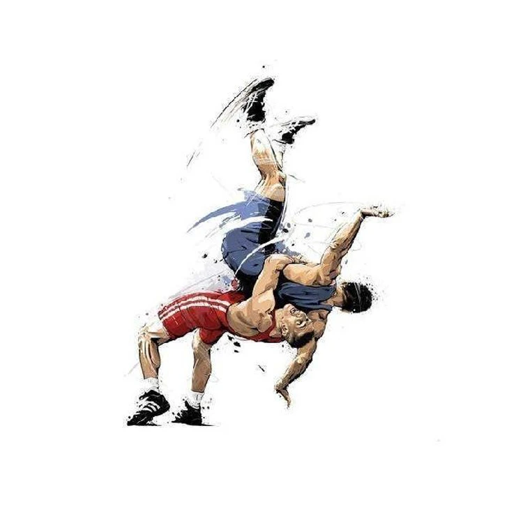 استیکر پارچه و لباس پاد آفرین مدل کشتی کد 3194