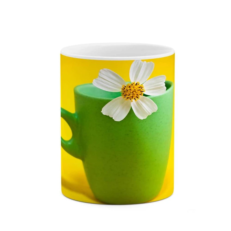 ماگ کاکتی مدل گل کد mgh12073