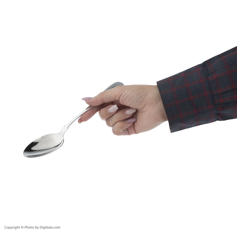 قاشق و چنگال غذاخوری صنایع استیل ایران مدل برشیا کد 5