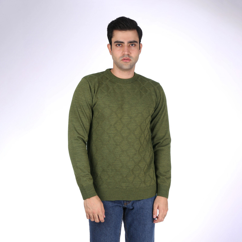 پلیور مردانه تریکو پاییزان مدل LOZ یقه گرد رنگ زیتونی