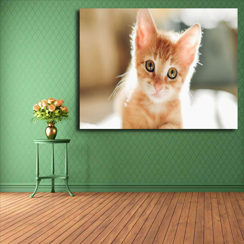 تابلو شاسی مدل گربه کد 6