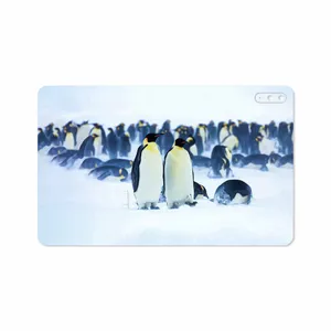 MAHOOT Penguin Cover Sticker for Huawei Matepad 10.4 2020 BAH3-L09