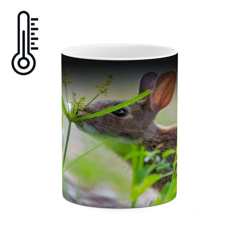 ماگ حرارتی کاکتی مدل آهو کد mgh16352