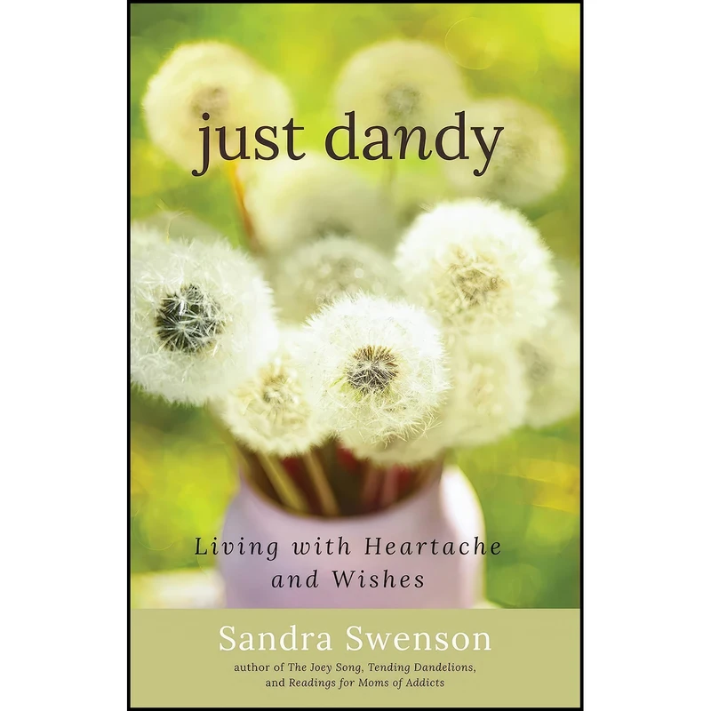 کتاب Just Dandy اثر Sandra Swenson انتشارات Hazelden Publishing