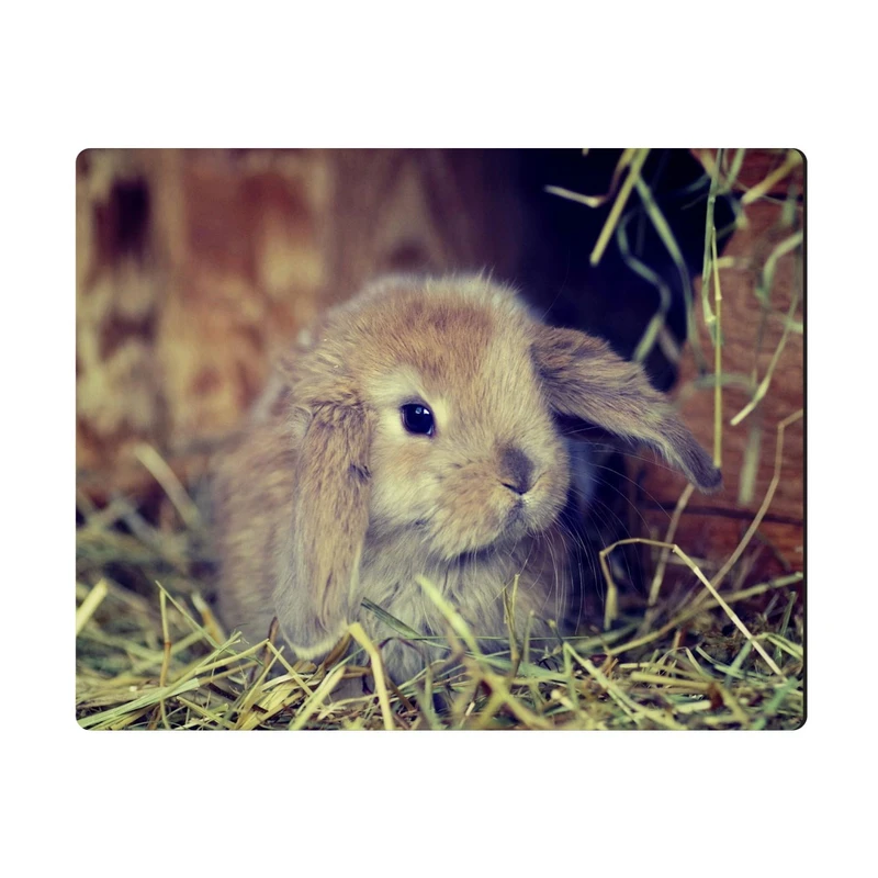 ماوس پد الینور مدل MPE187