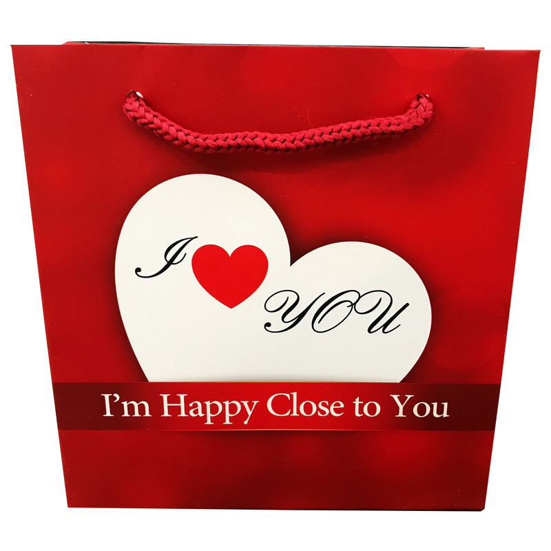 ساک هدیه مدل MR135