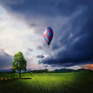 پوستر دیواری سه بعدی مدل منظره تک درخت بالن DVRF1860