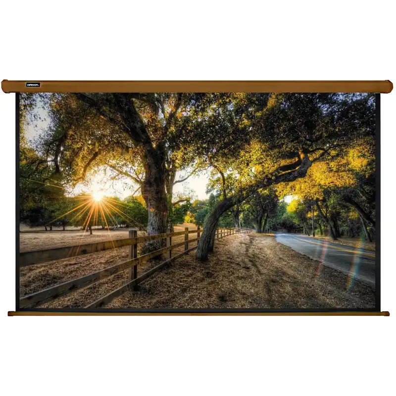 پرده نمایش برقی سلکسون مدل CS200AU