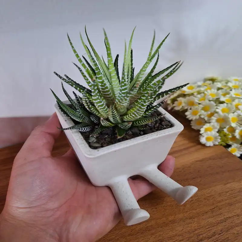 گلدان دکوری سنگی طرح پا دراز