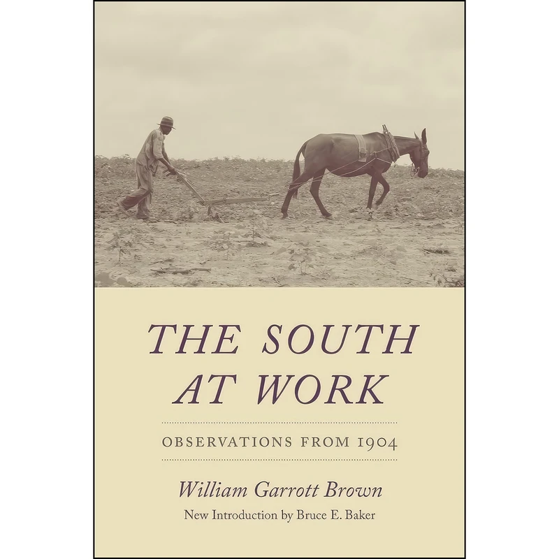کتاب The South at Work اثر جمعي از نويسندگان انتشارات University of South Carolina Press