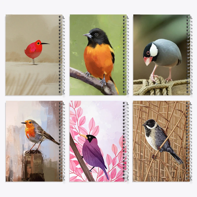 دفتر نقاشی 50 برگ خندالو طرح پرنده کد 891 مجموعه 6 عددی