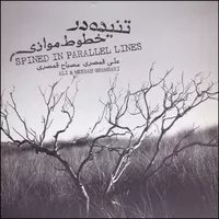آلبوم موسیقی تنیده در خطوط موازی اثر علی قمصری و مصباح قمصری نشر نقطه تعریف