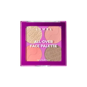 پالت کانتور و هایلایتر لامل مدل All-Over شماره 401