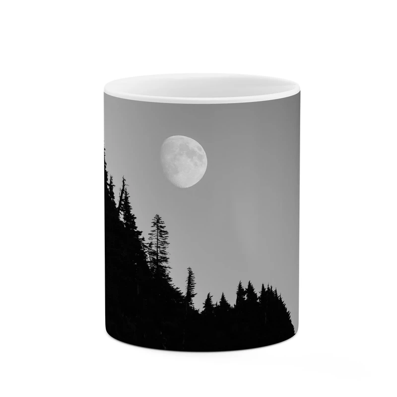 ماگ کاکتی طرح ماه کد mgp10929