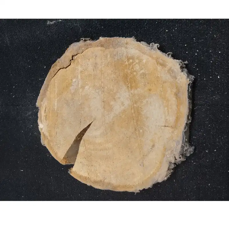 اسلایس چوب مدل شمس 3