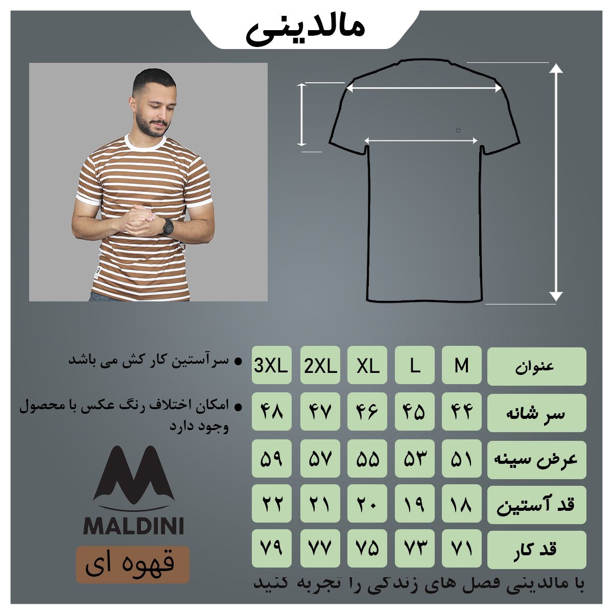 تی شرت آستین کوتاه مردانه مالدینی مدل t-497 - - 4