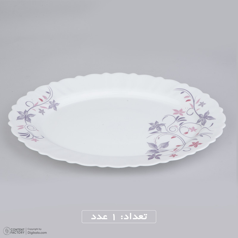 سرويس 25 پارچه آیروپال مدل يگانه