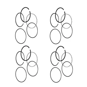 رینگ موتور ریک کد 80717 مناسب برای سمند بسته 20 عددی