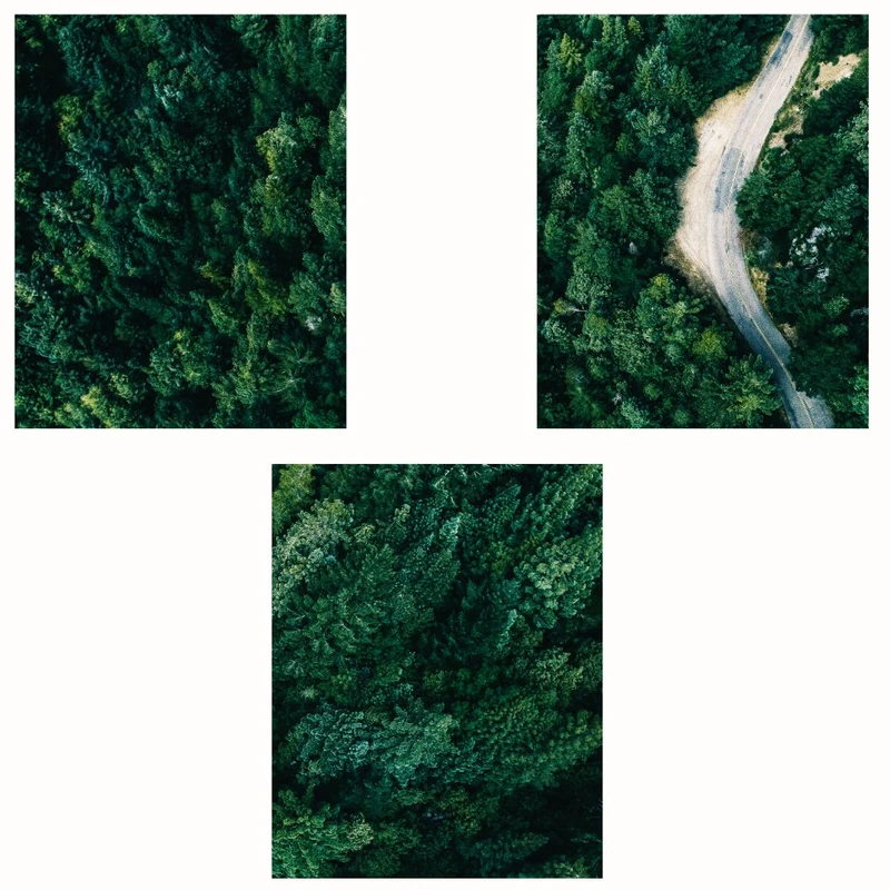 پوستر مدل مستر جاده جنگلی-چاپ طبیعت  مجموعه 3 عددی