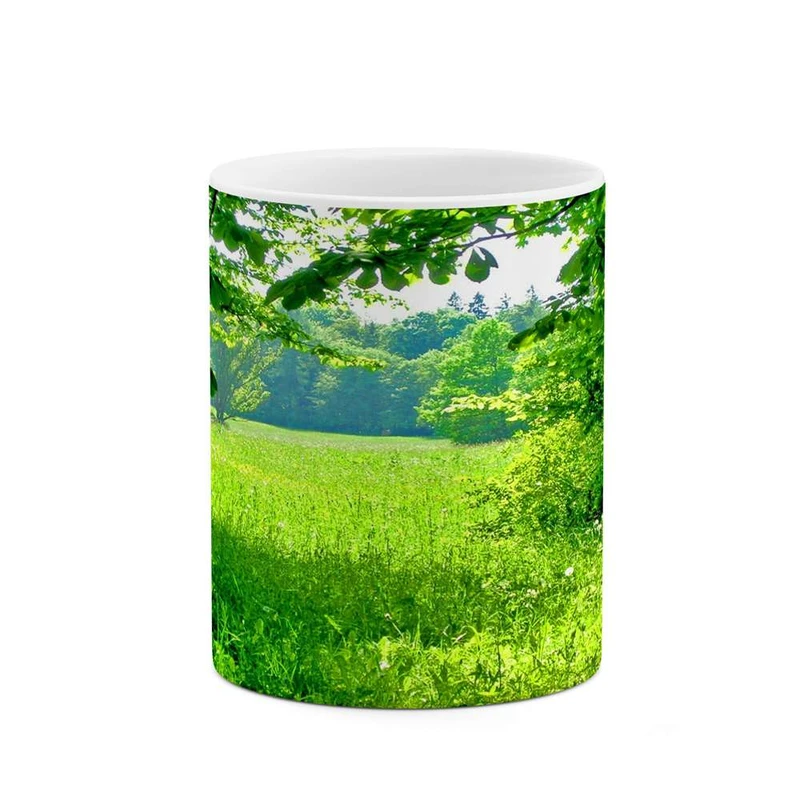 ماگ کاکتی مدل منظره کد mgh12258