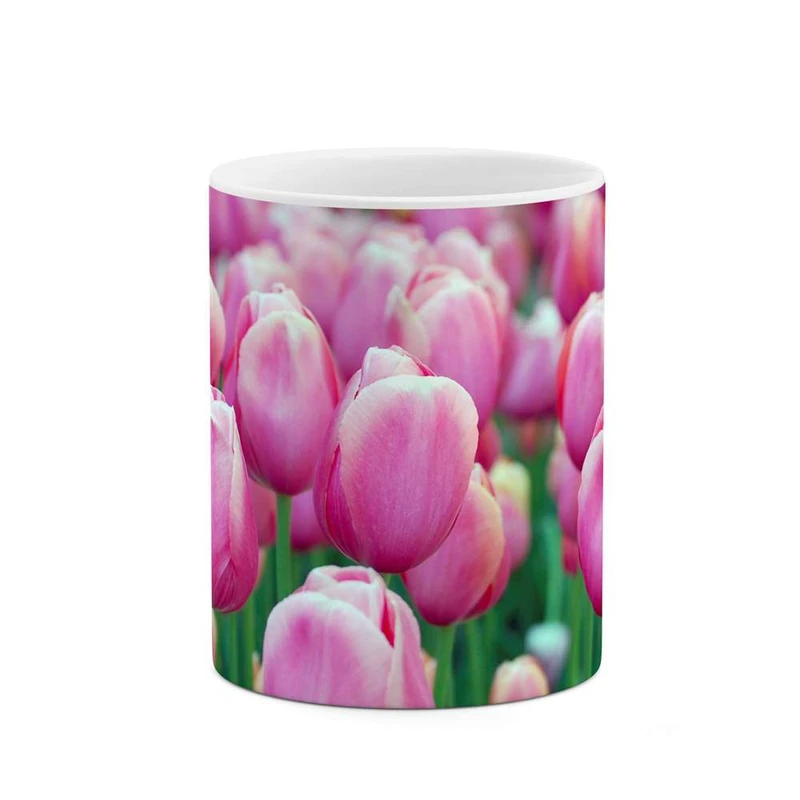 ماگ کاکتی مدل گل کد mgh12126