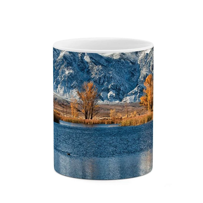 ماگ کاکتی مدل منظره کد mgh10184