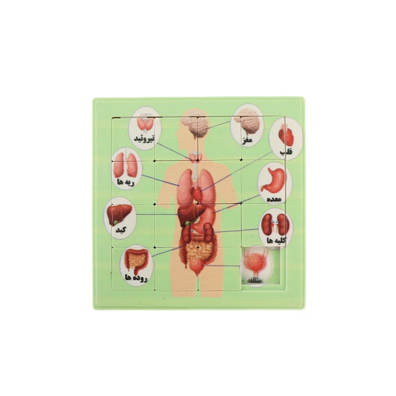 پازل آموزشی مدل اعضای بدن کد 04