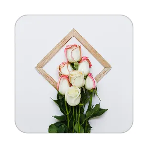 زیر لیوانی کاکتی طرح گل مدل mp19023