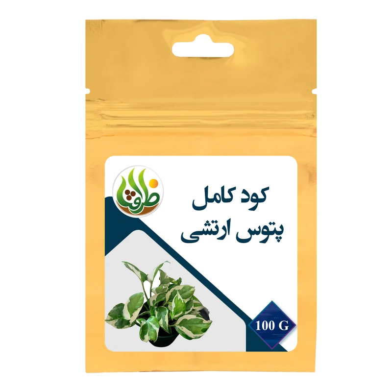 کود تقویتی مخصوص پتوس ارتشی ظرافت مدل KO21628 وزن 100 گرم