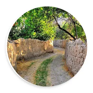 دیوارکوب طرح کوچه باغ ایرانی مدل wtb910