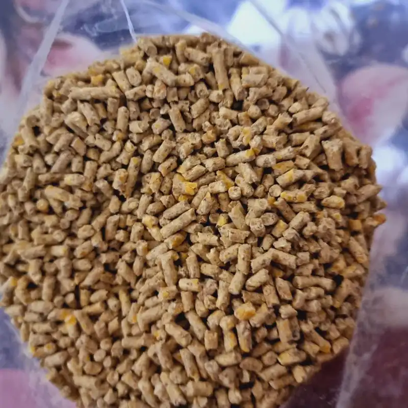 غذای پرندگان کاسنر مدل پارس دانه درشت وزن 5000 گرم