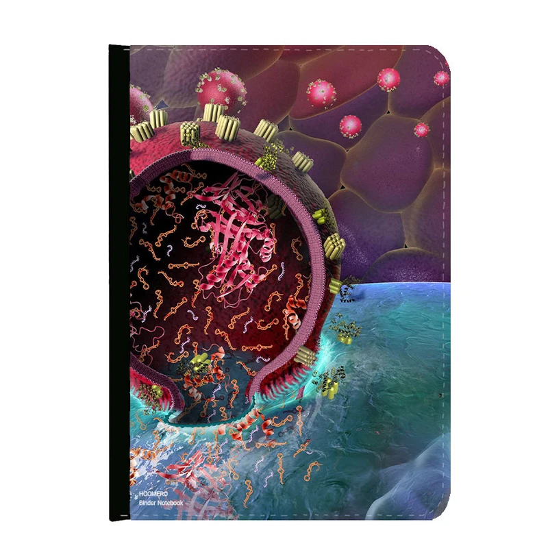 کلاسور هومرو مدل KL1350 طرح زیست شناسی و بیولوژي