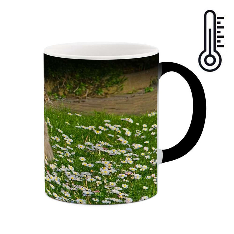 ماگ حرارتی کاکتی مدل گربه کد mgh10757