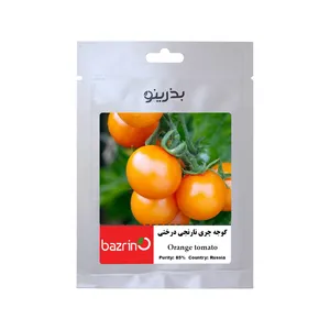 بذر گوجه چری نارنجی درختی بذرینو کد B-151